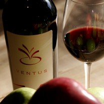 ventus şarap, kırmızı şarap