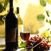 busone busone
